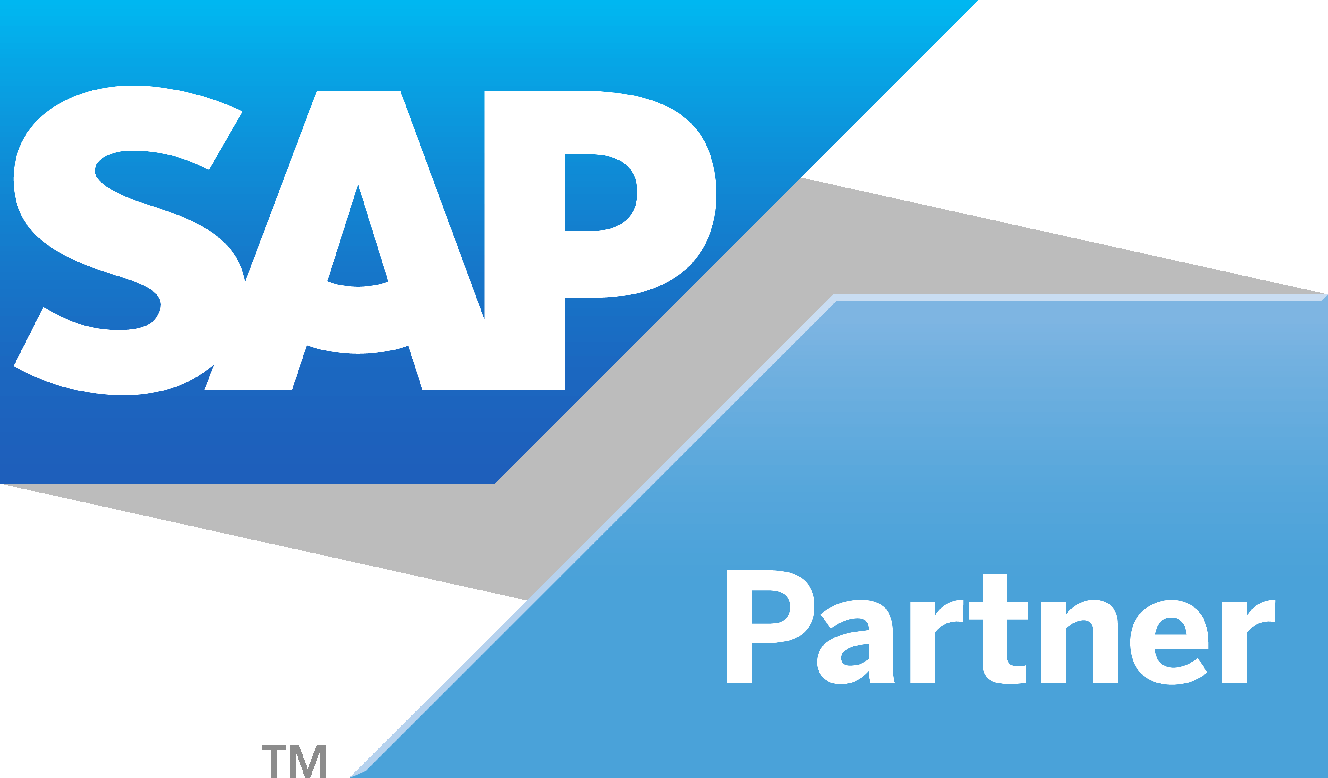 SAP Partner SAP Partner